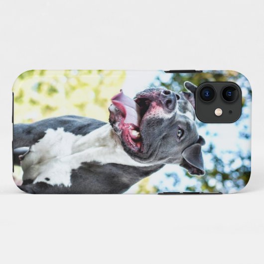 Pitbull Case-Mate iPhone Case (Achterkant (horizontaal))