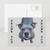 Pitbull Dank u Briefkaart (Voorkant / Achterkant)