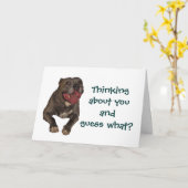 Pitbull denkt aan je Wenskaart Kaart (Gele Bloem)