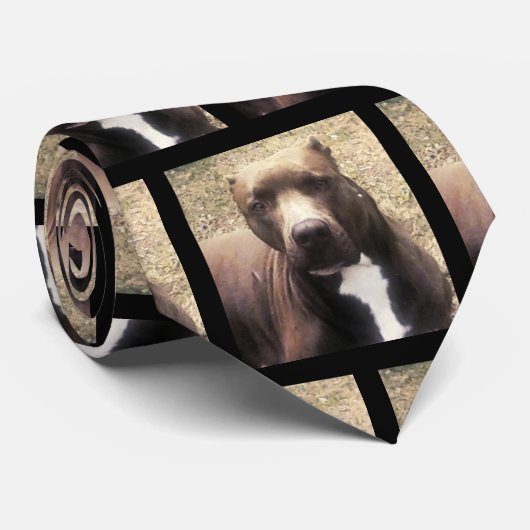 Pitbull Dog Custom Pet Foto Stropdas (Opgerold)