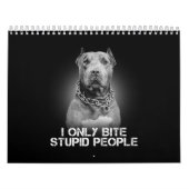 Pitbull Dog Kalender (Hoes)