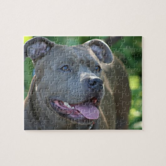 Pitbull Dog Legpuzzel (Horizontaal)