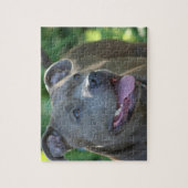Pitbull Dog Legpuzzel (Verticaal)