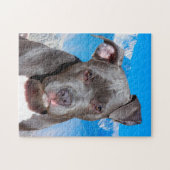 Pitbull Dog. Legpuzzel (Horizontaal)