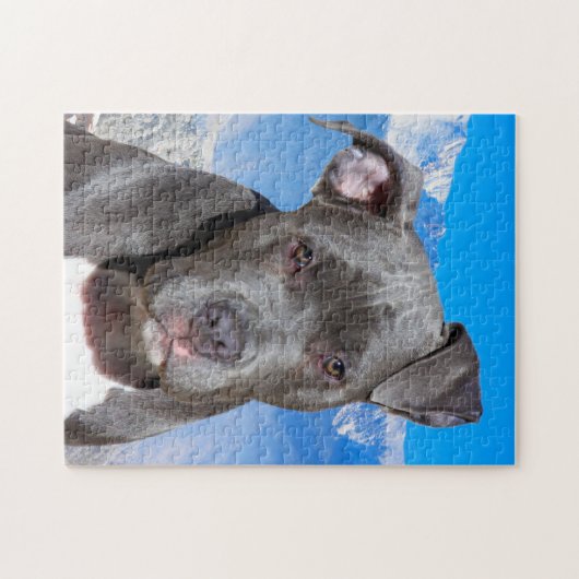 Pitbull Dog. Legpuzzel (Horizontaal)