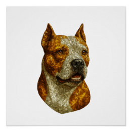 Pitbull Dog Portrait Perfect Poster