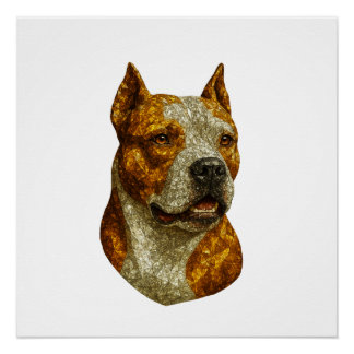 Pitbull Dog Portrait Perfect Poster