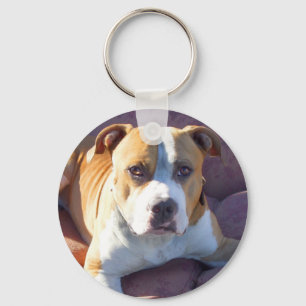Pitbull Dog Sleutelhanger