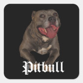Pitbull Dog Stickers (Voorkant)