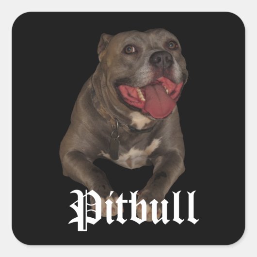 Pitbull Dog Stickers (Voorkant)