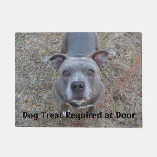 Pitbull Dog Treat vereiste portier Deurmat (Voorkant)
