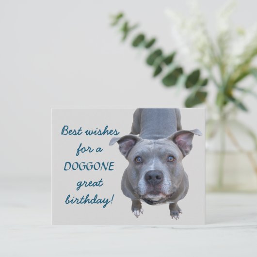 Pitbull Doggone Grote Verjaardag Briefkaart (Staand voorkant)