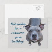 Pitbull Doggone Grote Verjaardag Briefkaart (Voorkant / Achterkant)