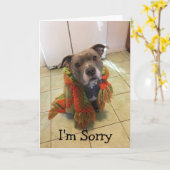 Pitbull Doghouse Het spijt me Kaart (Gele Bloem)