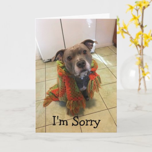 Pitbull Doghouse Het spijt me Kaart (Gele Bloem)