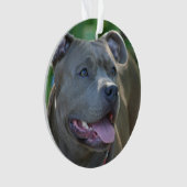Pitbull-doodshond Ornament (voorkant)