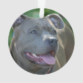 Pitbull-doodshond Ornament (achterkant)
