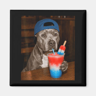 Pitbull Drinkt Patriottische Slusie Grappige Honde Magneet