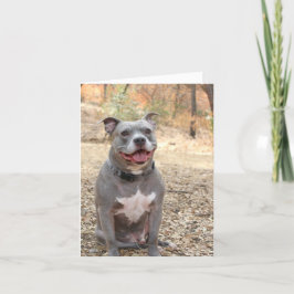 Pitbull Ear-to-Ear-glimlach Bedankt voor je briefk