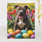 Pitbull Easter Eggs Kaart (Gele Bloem)
