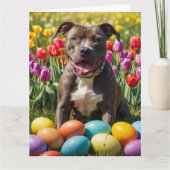 Pitbull Easter Eggs Kaart (Voorkant)