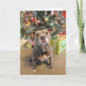 Pitbull Extra Cookie-kerstkaart Feestdagen Kaart (Voorkant)