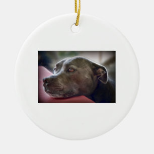 Pitbull Eyes Keramisch Ornament