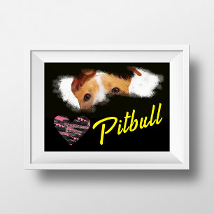 Pitbull Eyes Solid Color Poster