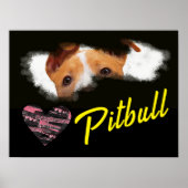 Pitbull Eyes Solid Color Poster (Voorkant)