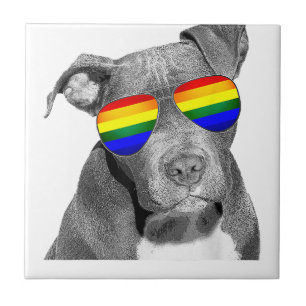 Pitbull Gay Pride Dog Kleding LGBT Funny Gift Rai Tegeltje