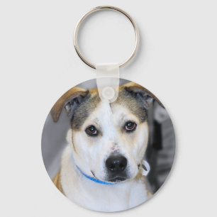 Pitbull/gele Sleutelhanger van de Labrador