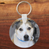 Pitbull/gele Sleutelhanger van de Labrador (Voorkant)