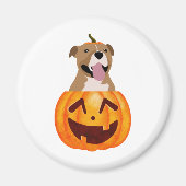 Pitbull Halloween Magneet (Voorkant)