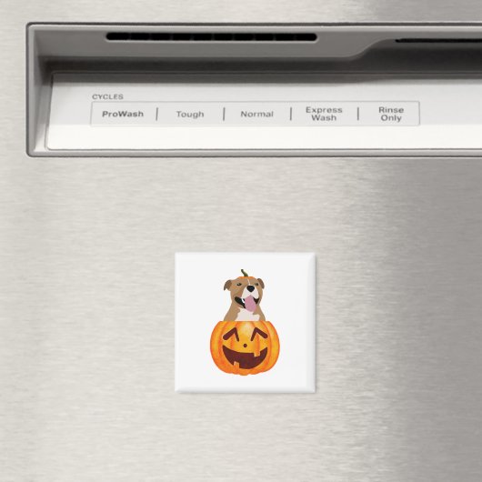 Pitbull Halloween Magneet (Insitu (Vaatwasser))