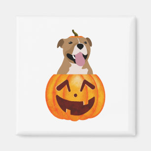 Pitbull Halloween Magneet