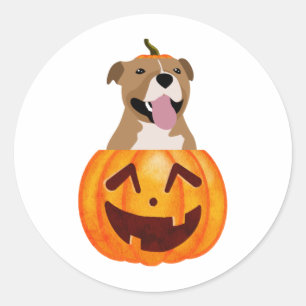 Pitbull Halloween Ronde Sticker