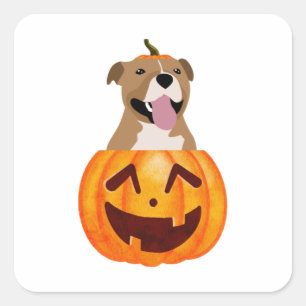 Pitbull Halloween Vierkante Sticker