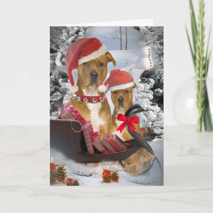 Pitbull-hoezen van de kerstman feestdagen kaart