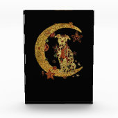 Pitbull hond en maan fotoblokken (Voorkant)