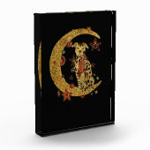 Pitbull hond en maan fotoblokken (Links)