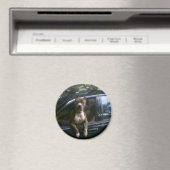 Pitbull hond in auto magneet (Insitu (Vaatwasser))
