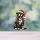 Pitbull Hond Kerstverlichting Kerstman Hoed Kersts Acryl Bord (Neutraal)
