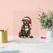 Pitbull Hond Kerstverlichting Kerstman Hoed Kersts Acryl Bord (Huwelijk)
