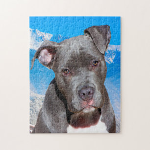 Pitbull hond. legpuzzel