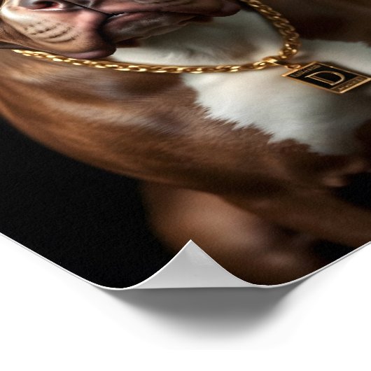 Pitbull Hond met zonnebril en gouden ketting Poster (Hoek)