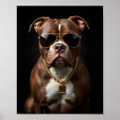 Pitbull Hond met zonnebril en gouden ketting Poster (Voorkant)