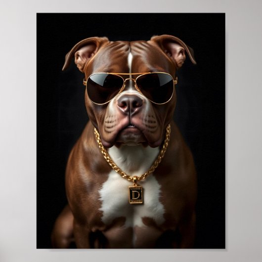 Pitbull Hond met zonnebril en gouden ketting Poster (Voorkant)