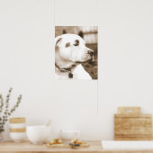 pitbull hond sepia haat daad niet ras poster (Keuken)