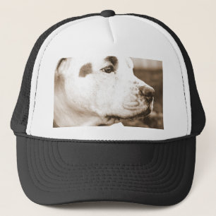 pitbull hond sepia kleur haat daad niet ras trucker pet