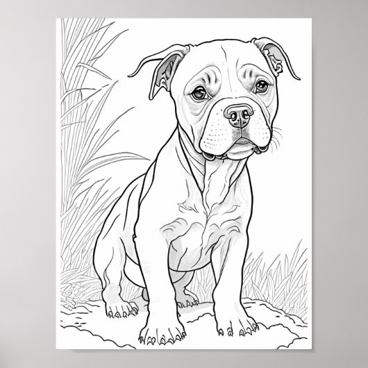 Pitbull hond volwassen kleuring poster (Voorkant)